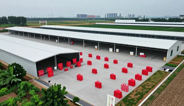 预算规划在快速配送服务中的实际应用与问题处理